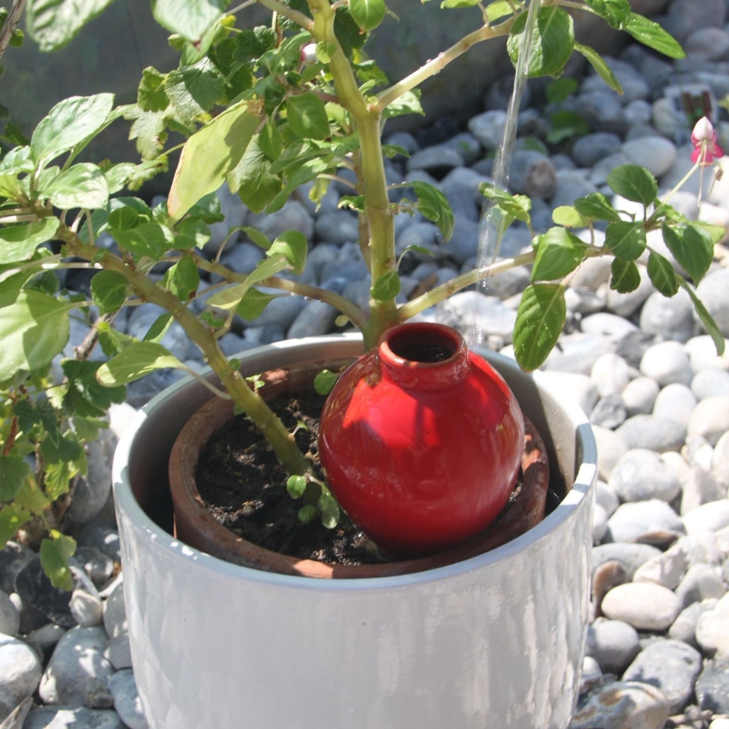 Ollas Sabeur – Ollas Lutton – Autonoomne kastmissüsteem