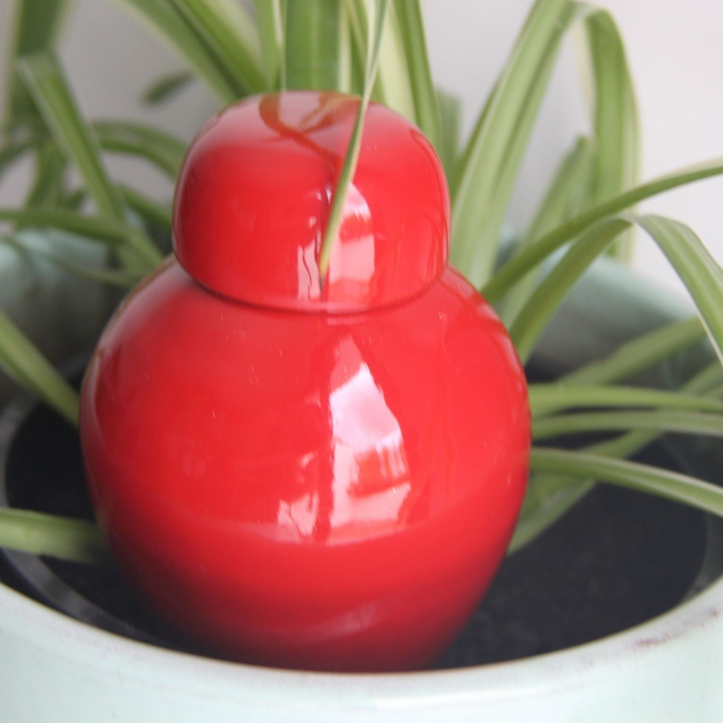 Ollas Sabeur – Ollas Lutton – Autonoomne kastmissüsteem