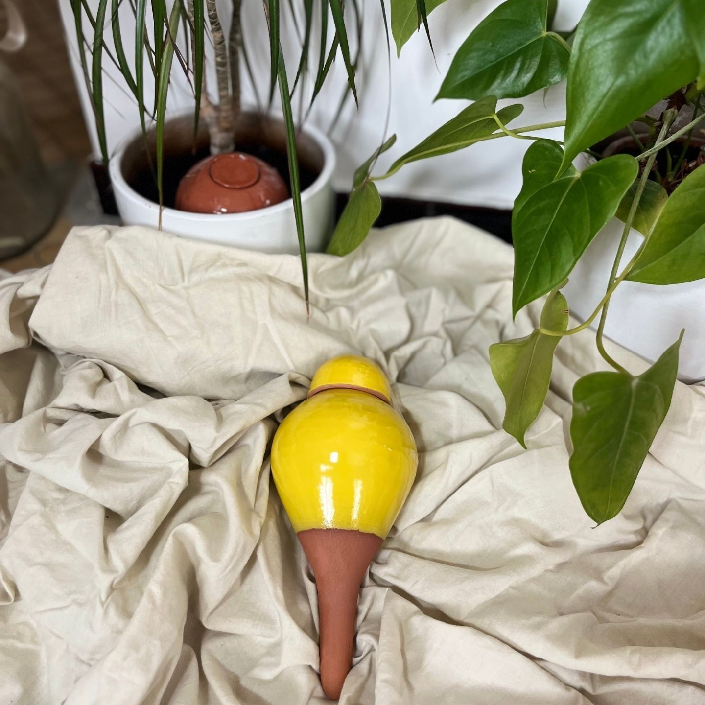 Ollas Sabeur – Ollas Lutton – Autonoomne kastmissüsteem