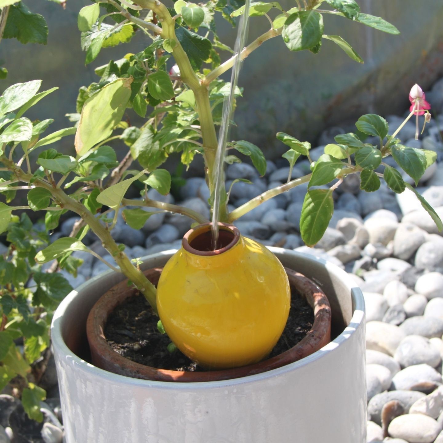 Ollas Sabeur – Ollas Lutton – Autonoomne kastmissüsteem