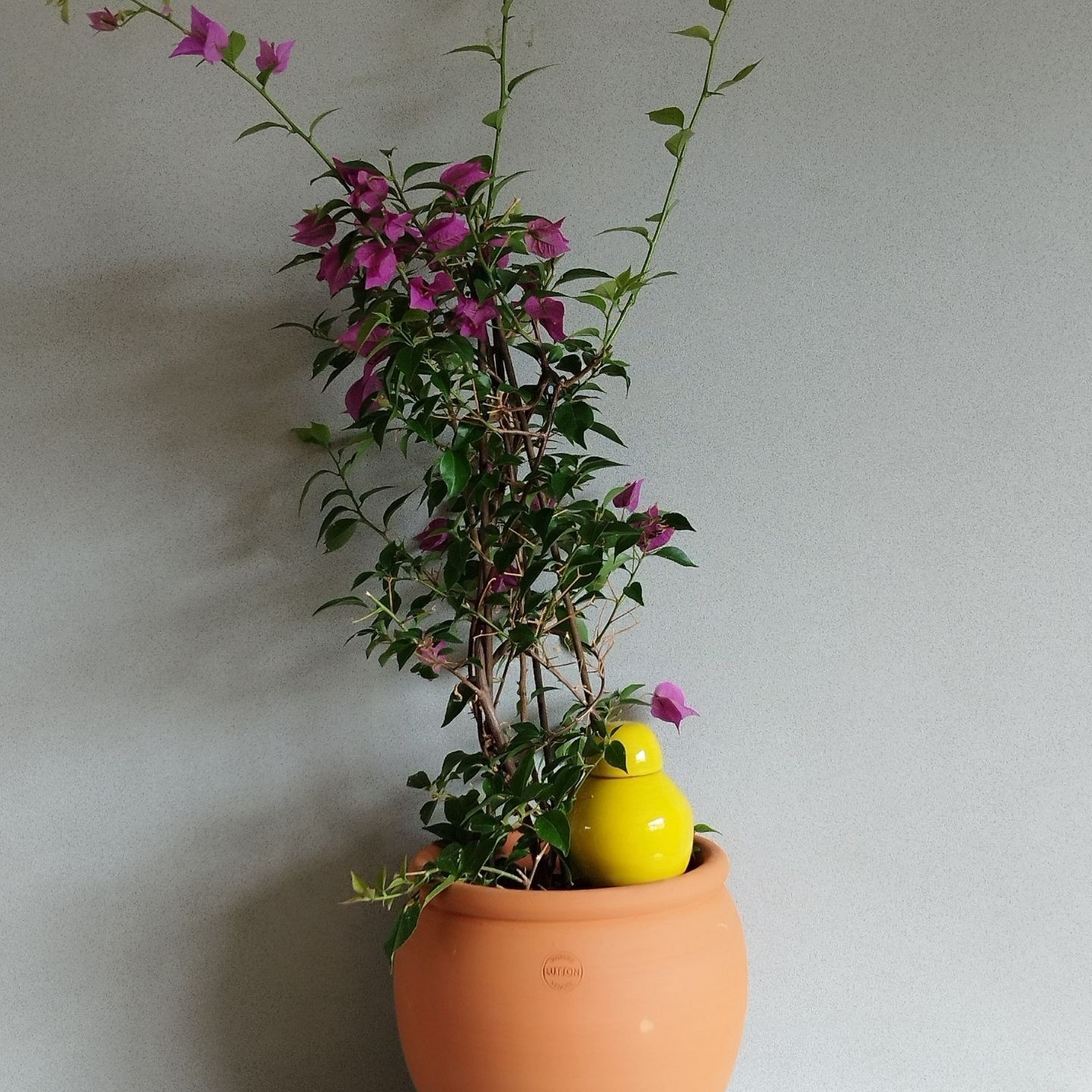 Ollas Sabeur – Ollas Lutton – Autonoomne kastmissüsteem