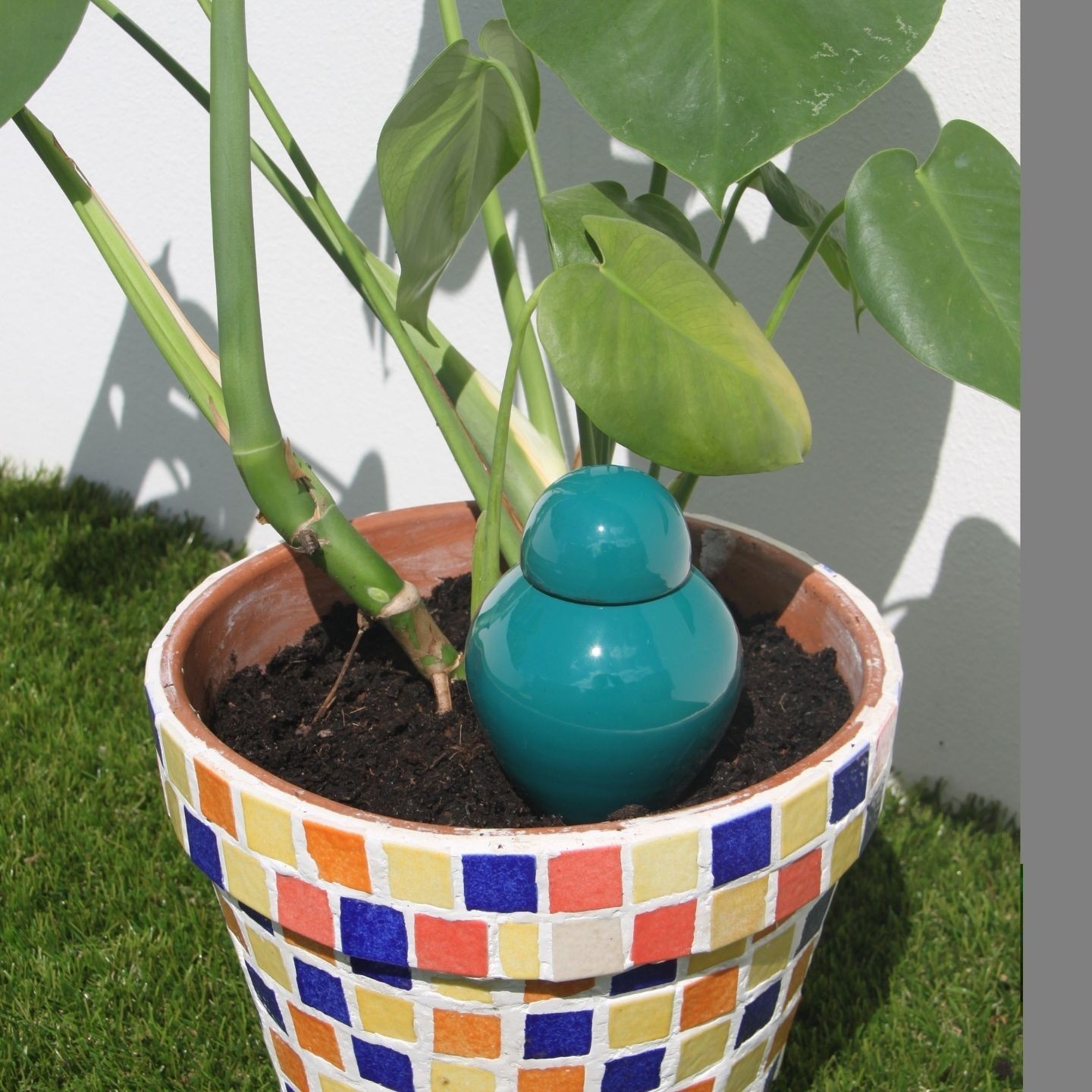 Ollas Sabeur – Ollas Lutton – Autonoomne kastmissüsteem