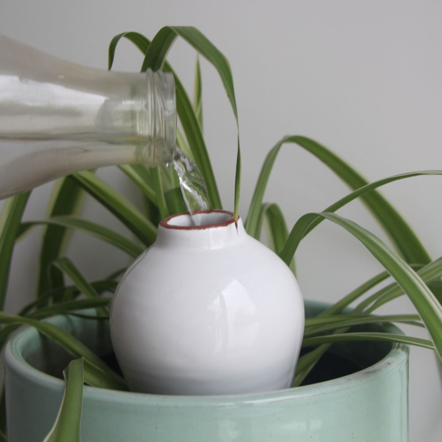 Ollas Sabeur – Ollas Lutton – Autonoomne kastmissüsteem