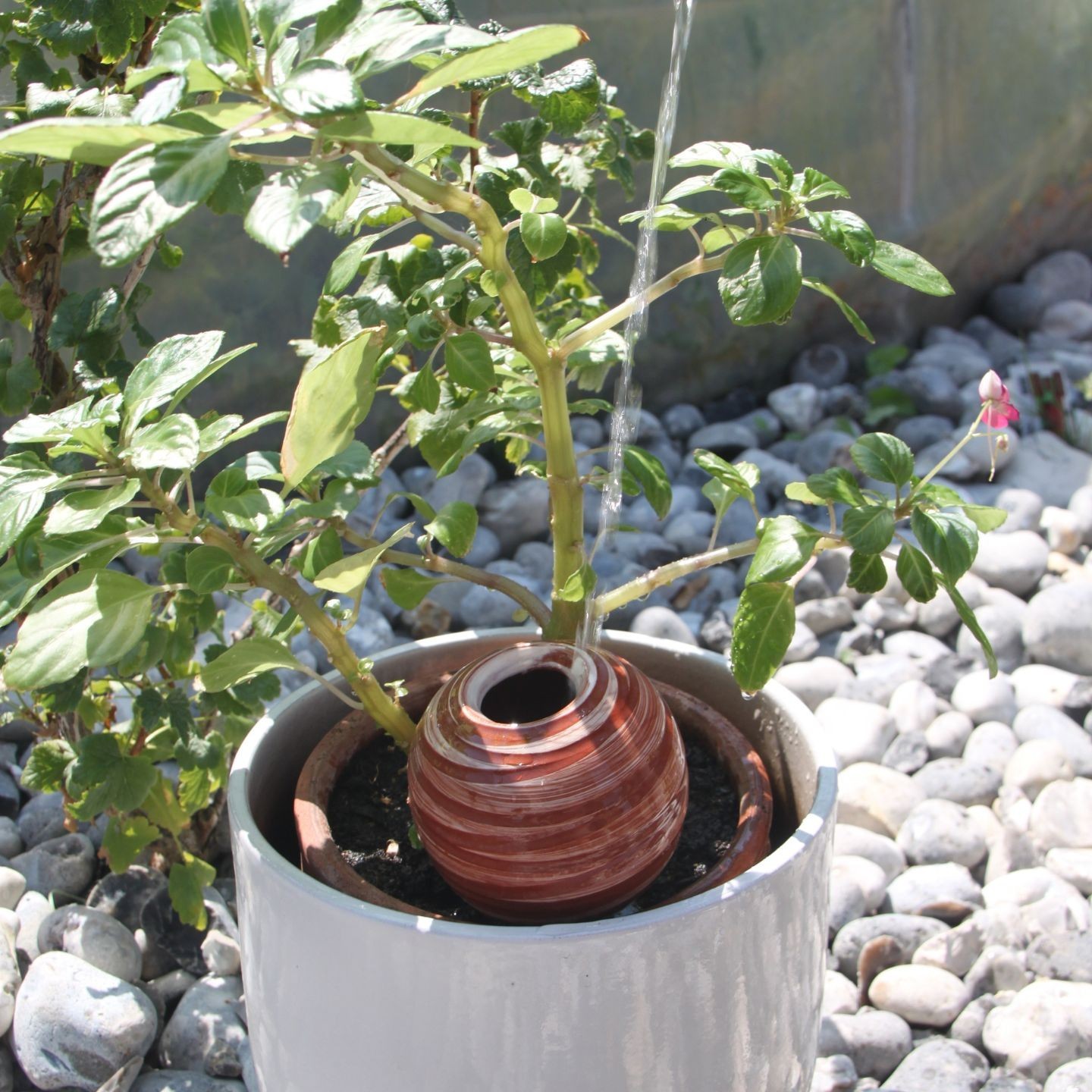 Ollas à planter Spiral - Ollas Lutton