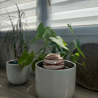 Ollas à planter Spiral - Ollas Lutton