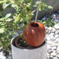 Ollas à Planter Large 1L Nature – Arrosage Autonome Écologique pour Plantes d'Intérieur | Poterie Lutton