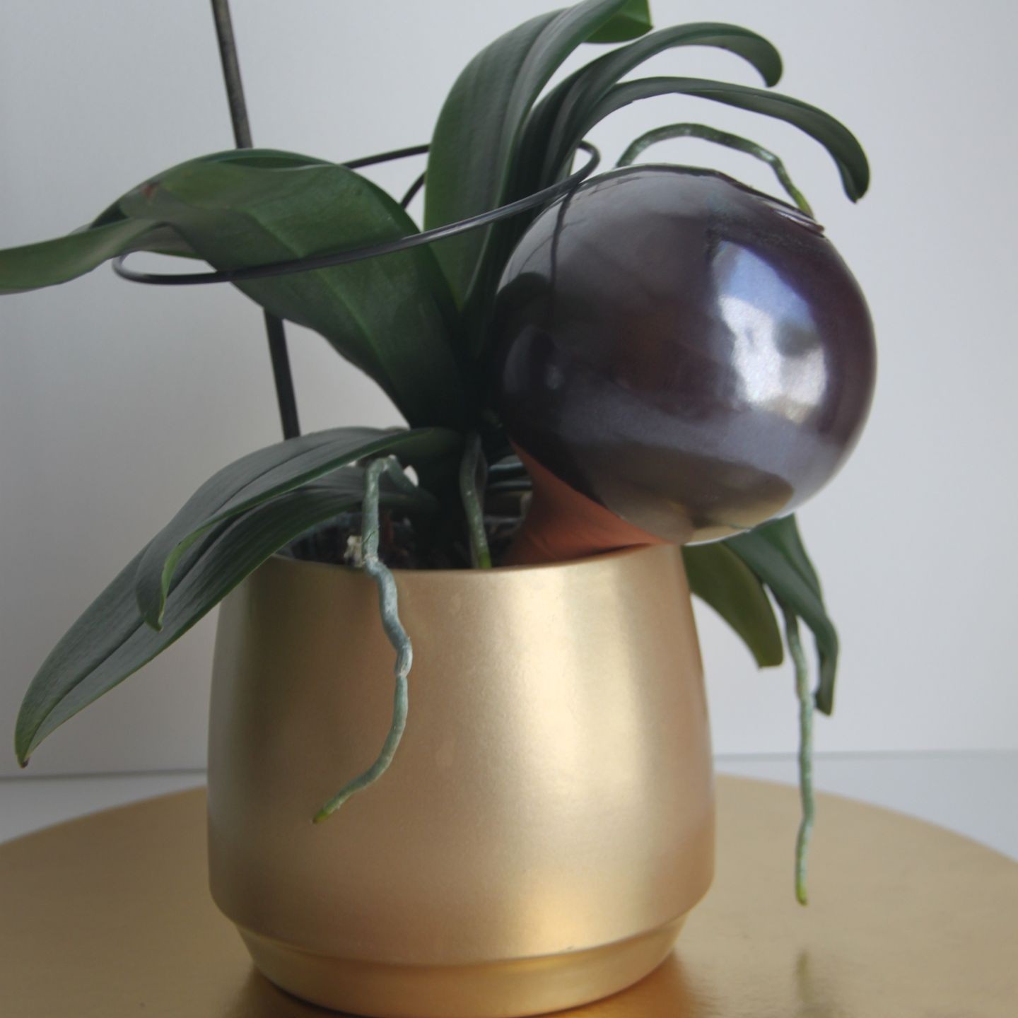 Ollas à Planter Métallique Acheter - Ollas Lutton - Diffuseur d'eau autonome