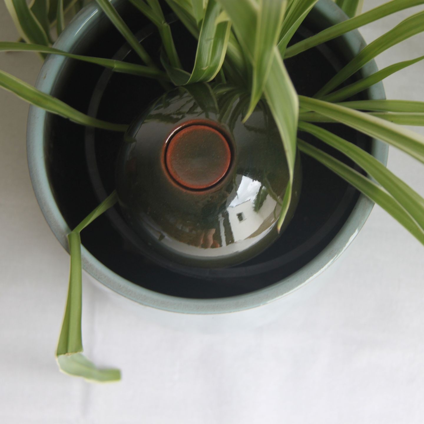 Ollas à Planter Métallique Acheter - Ollas Lutton - Diffuseur d'eau autonome