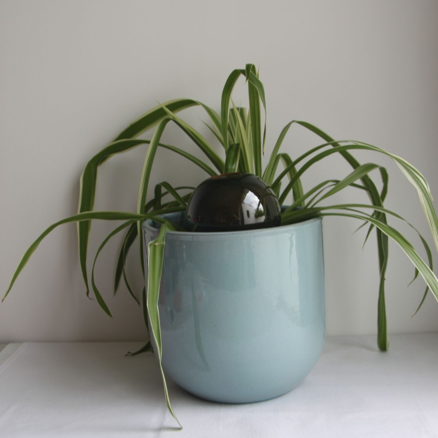 Ollas à Planter Métallique Acheter - Ollas Lutton - Diffuseur d'eau autonome