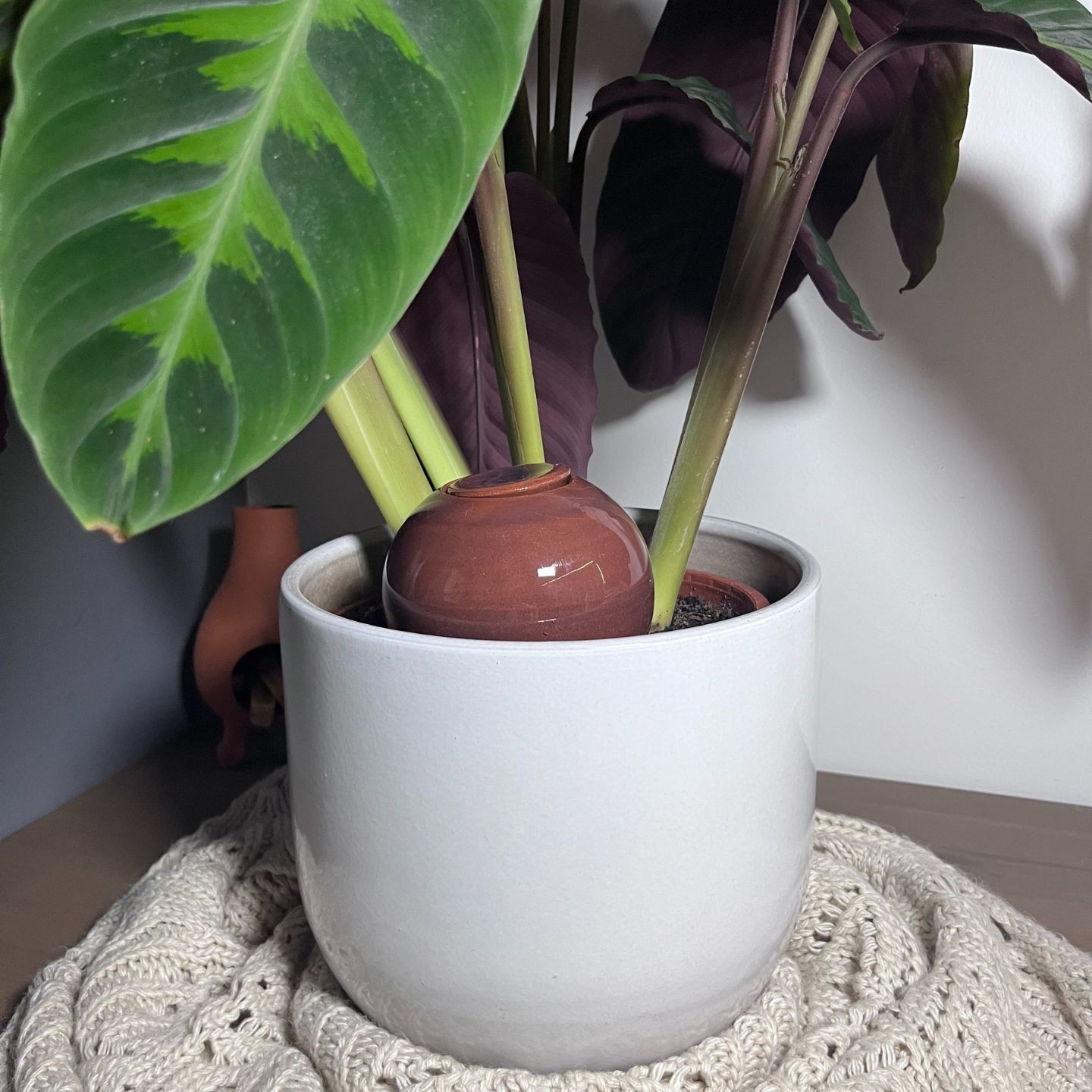 Ollas à Planter Nuancées - Poterie Lutton