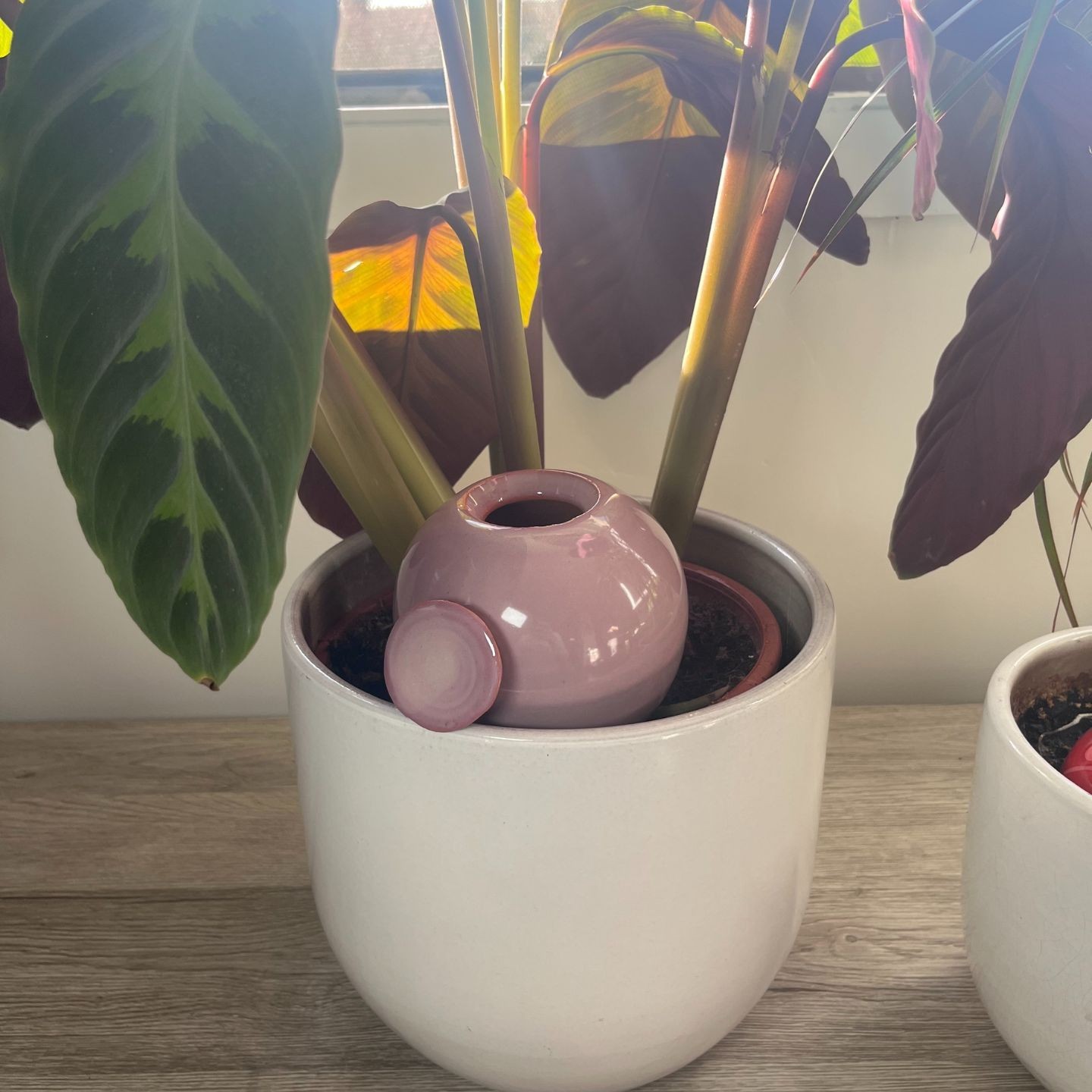 Ollas à Planter Nuancées - Poterie Lutton