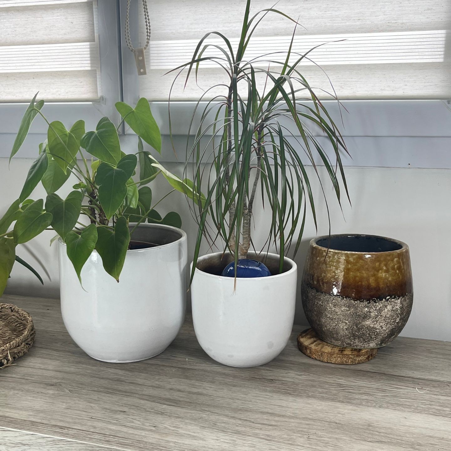 Ollas à Planter Nuancées – Arrosage Écologique et Design Édition Limitée