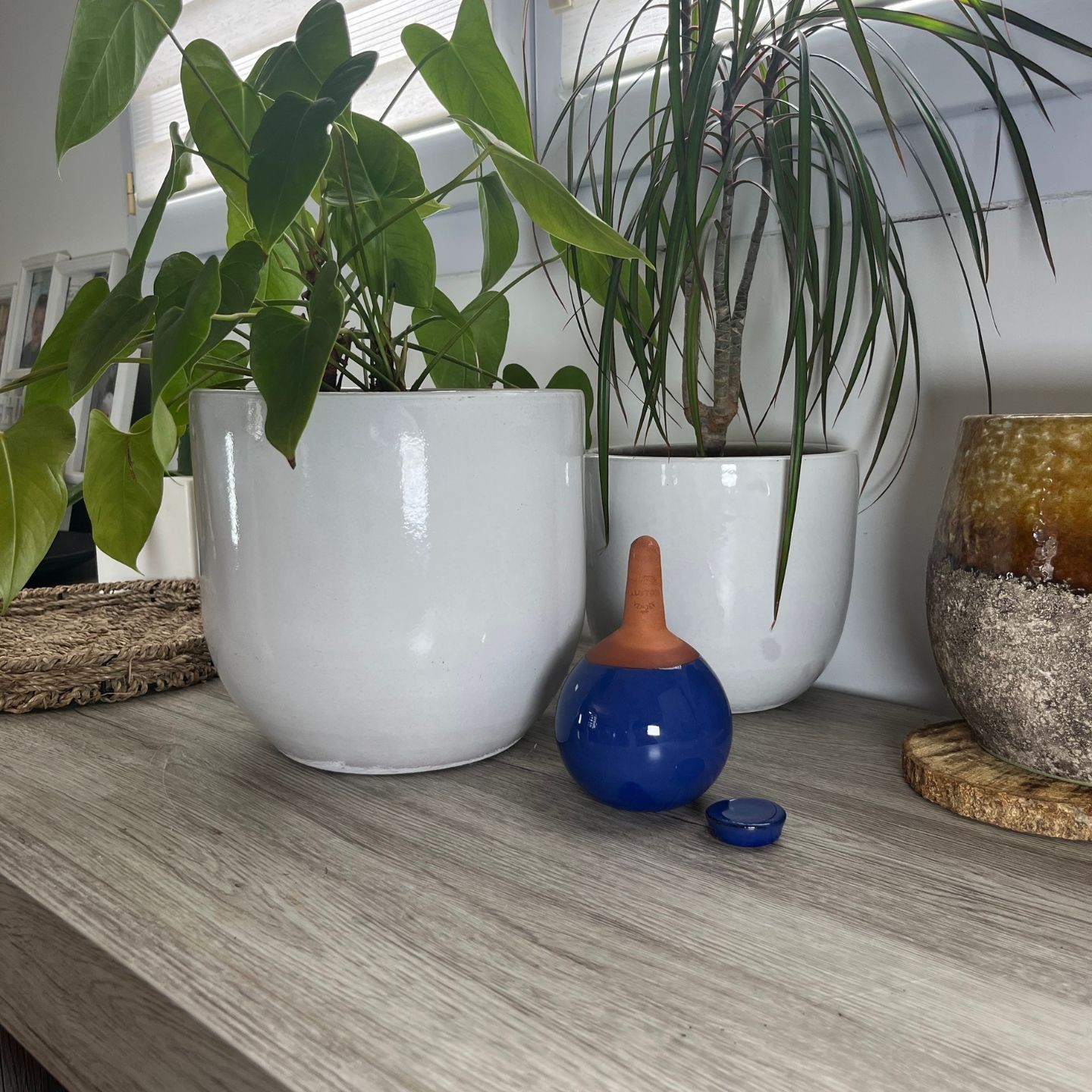 Ollas à Planter Nuancées – Arrosage Écologique et Design Édition Limitée