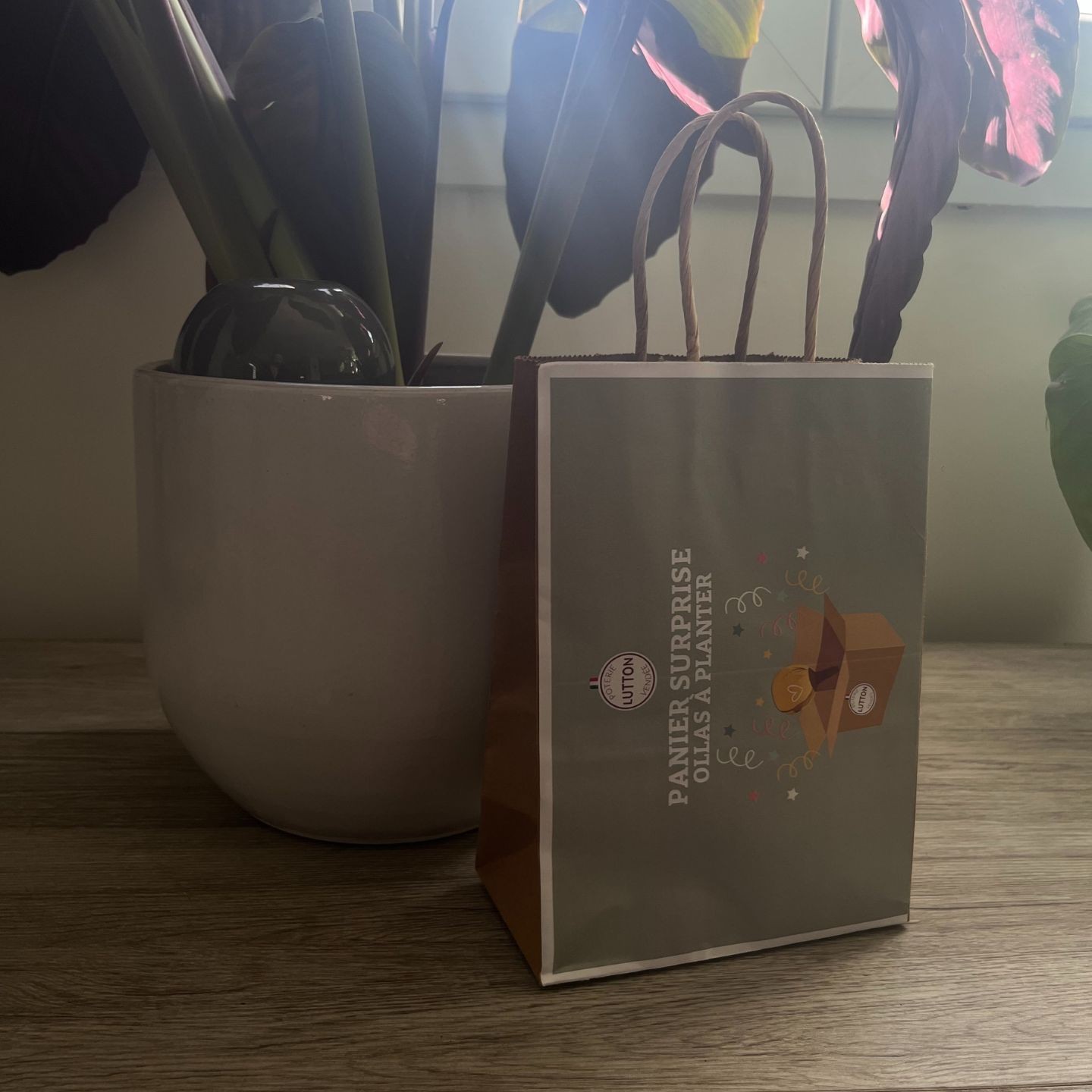 Panier Surprise à Ollas Planter  à un prix imbatable de 14 euros