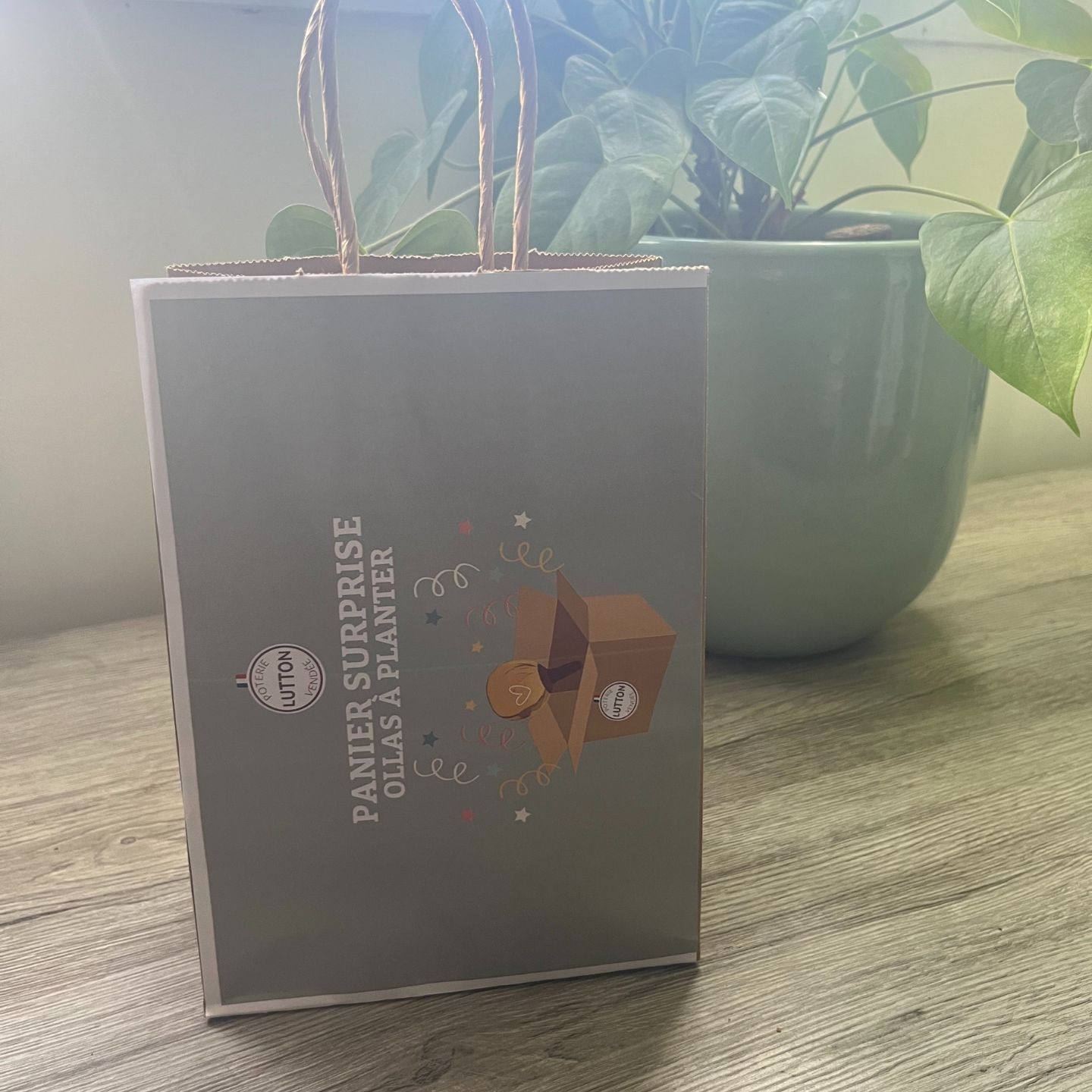 Panier Surprise à Ollas Planter  à un prix imbatable de 14 euros