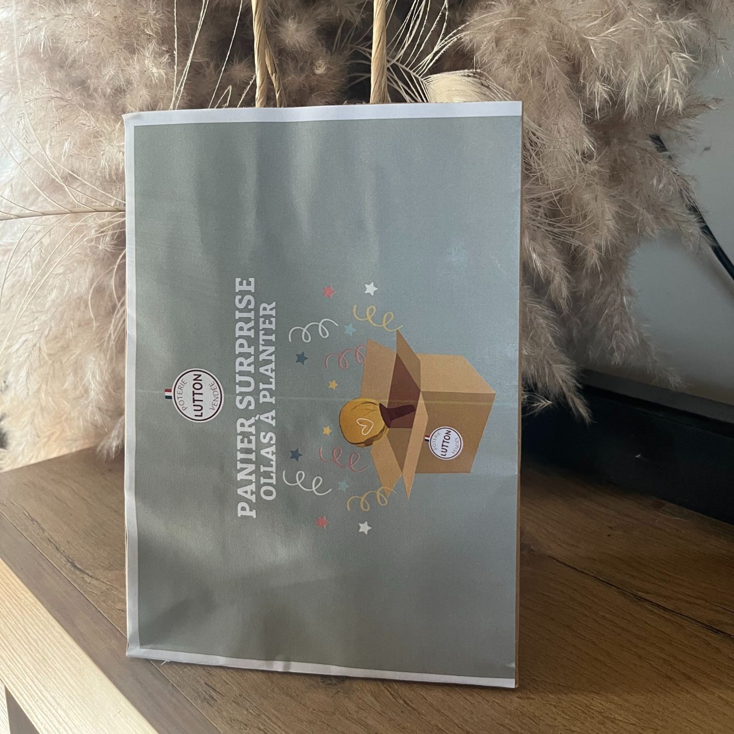 Panier Surprise à Ollas Planter  à un prix imbatable de 14 euros