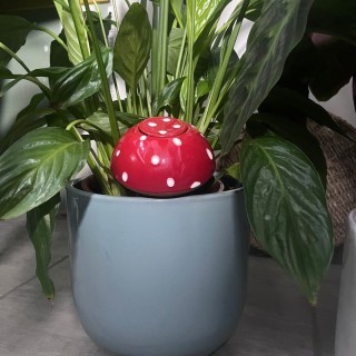 Ollas à planter Champignon