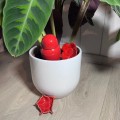 MINI OLLAS A PLANTER SABEUR