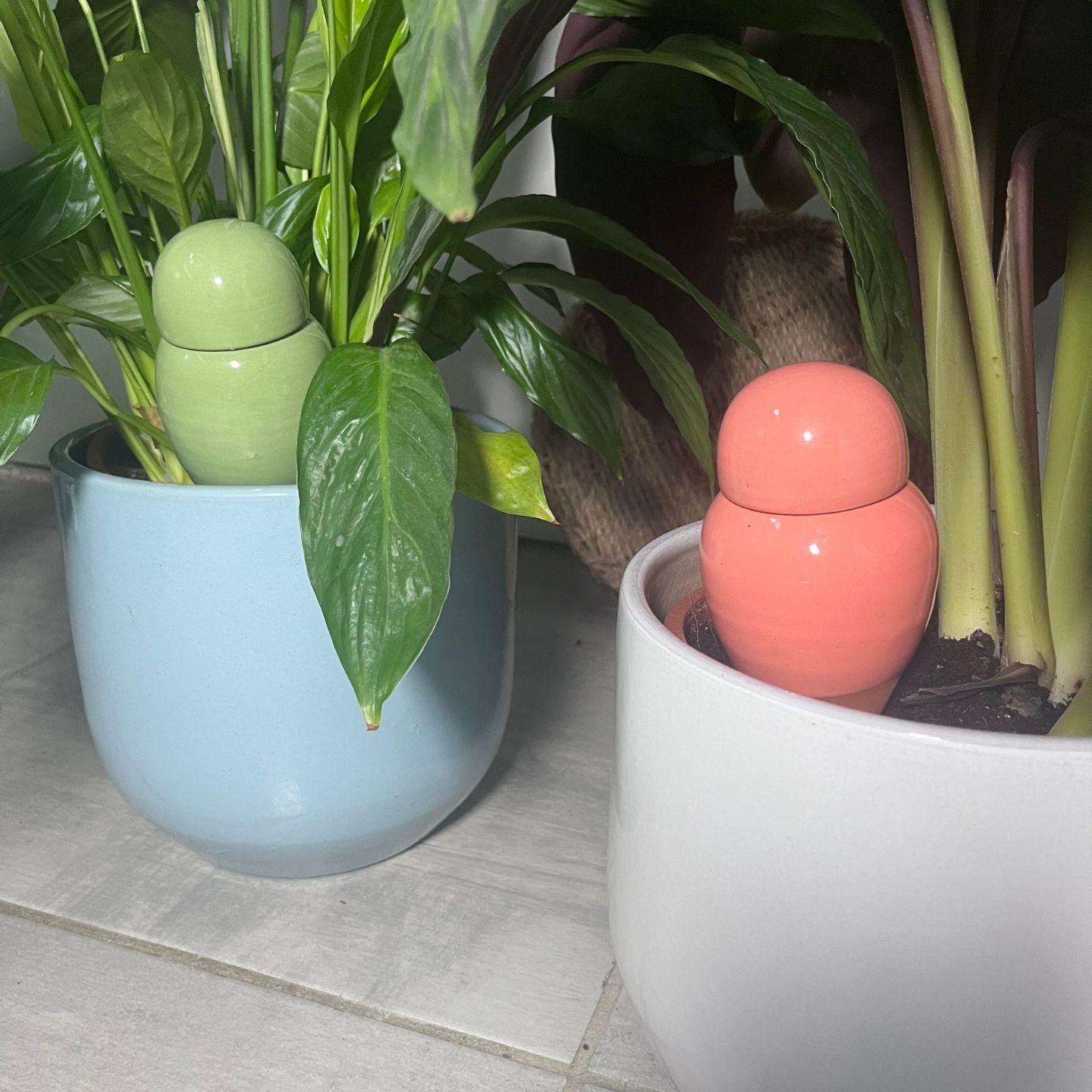 MINI OLLAS A PLANTER SABEUR