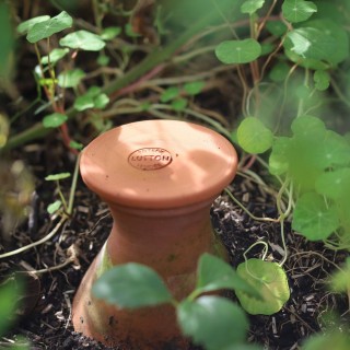 Ollas Potager à Enterrer - Acheter - Ollas Lutton - Diffuseur d'eau