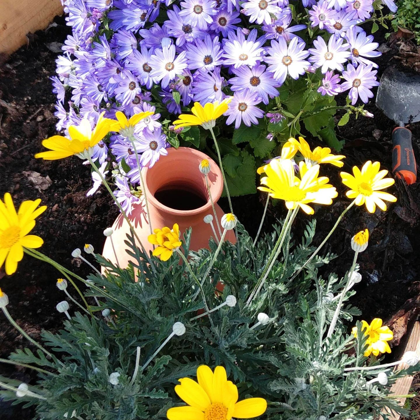 Ollas Potager à Enterrer - Acheter - Ollas Lutton - Diffuseur d'eau
