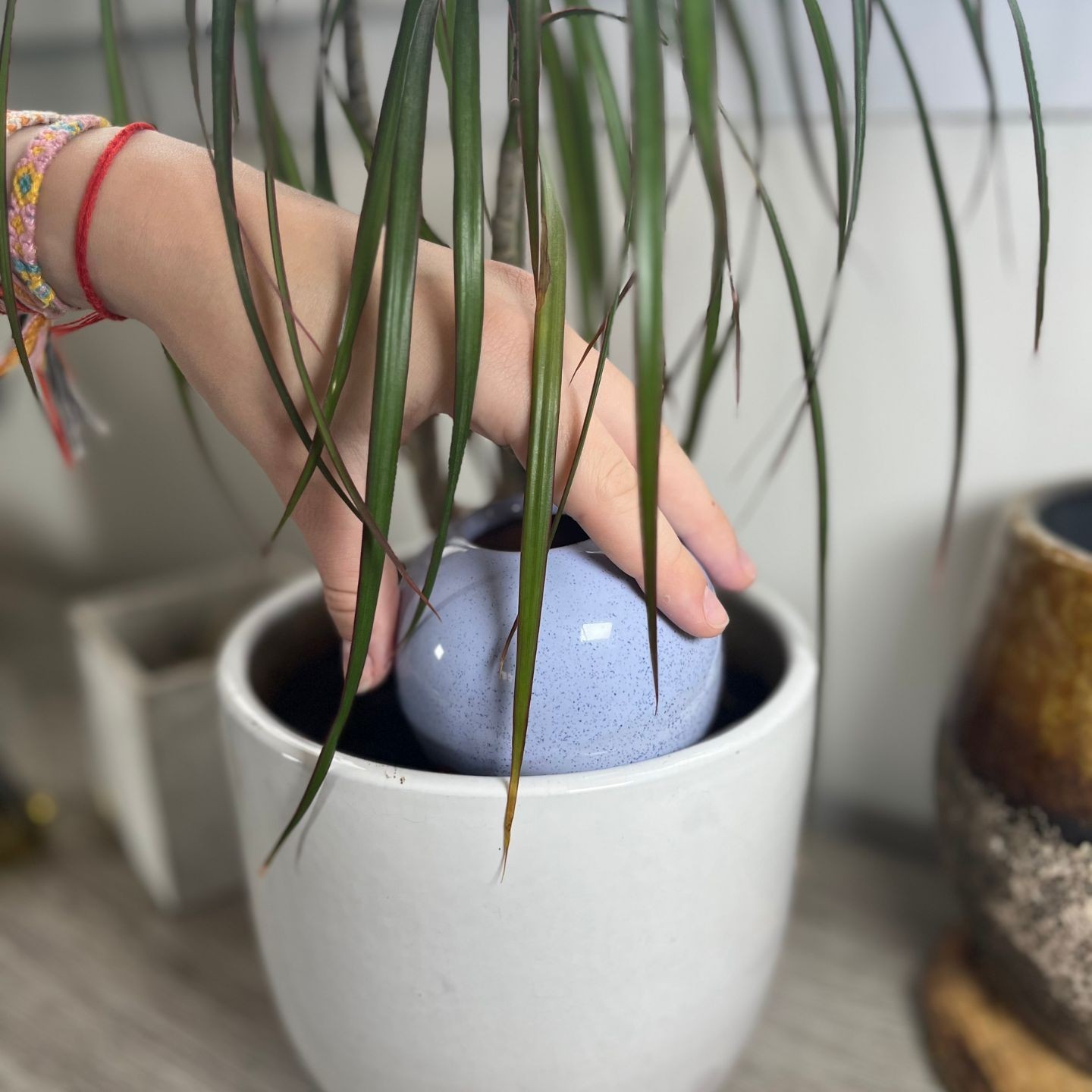 Ollas à Planter Pastel Acheter - Ollas Lutton - Diffuseur d'eau autonome