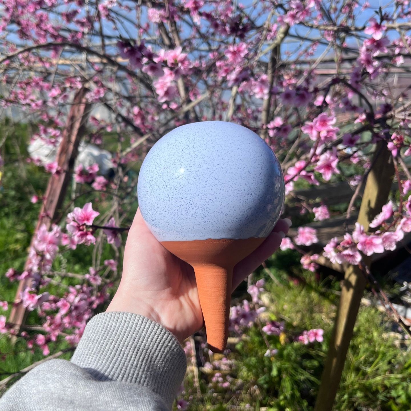 Ollas à Planter Pastel Pêche et Pistache | Arrosage Écologique et Design