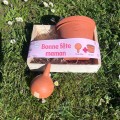 Coffret Fête des Mères Pot Terracotta + Mini Olla 25 cl – Cadeau jardinage