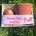 Coffret Fête des Mères Pot Terracotta + Mini Olla 25 cl – Cadeau jardinage