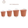 Coffret Fête des Mères Pot Terracotta + Mini Olla 25 cl – Cadeau jardinage