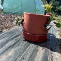 Tour de Culture Verticale Empilable en Poterie | Fraises, Aromates et Fleurs