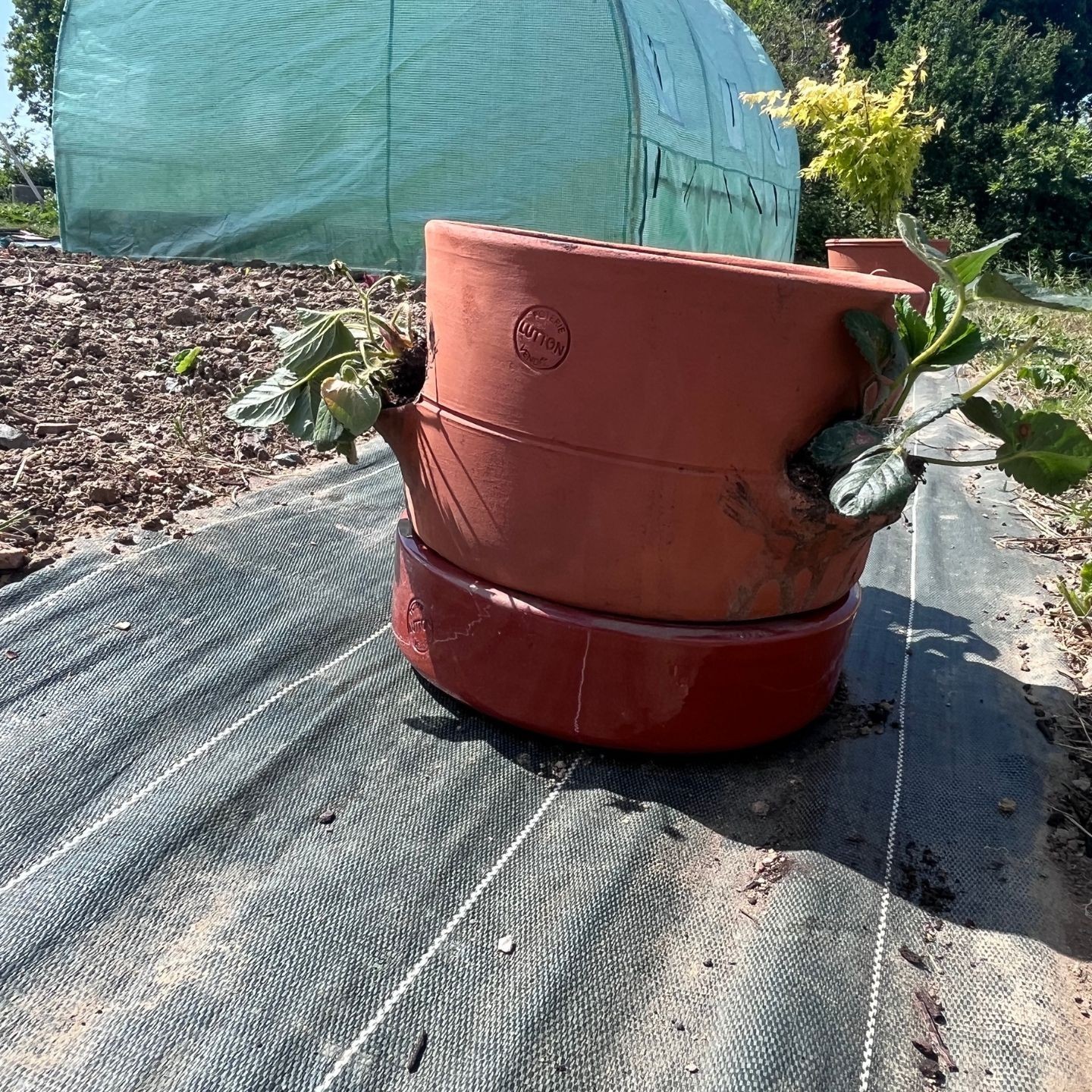 Tour de Culture Verticale Empilable en Poterie | Fraises, Aromates et Fleurs