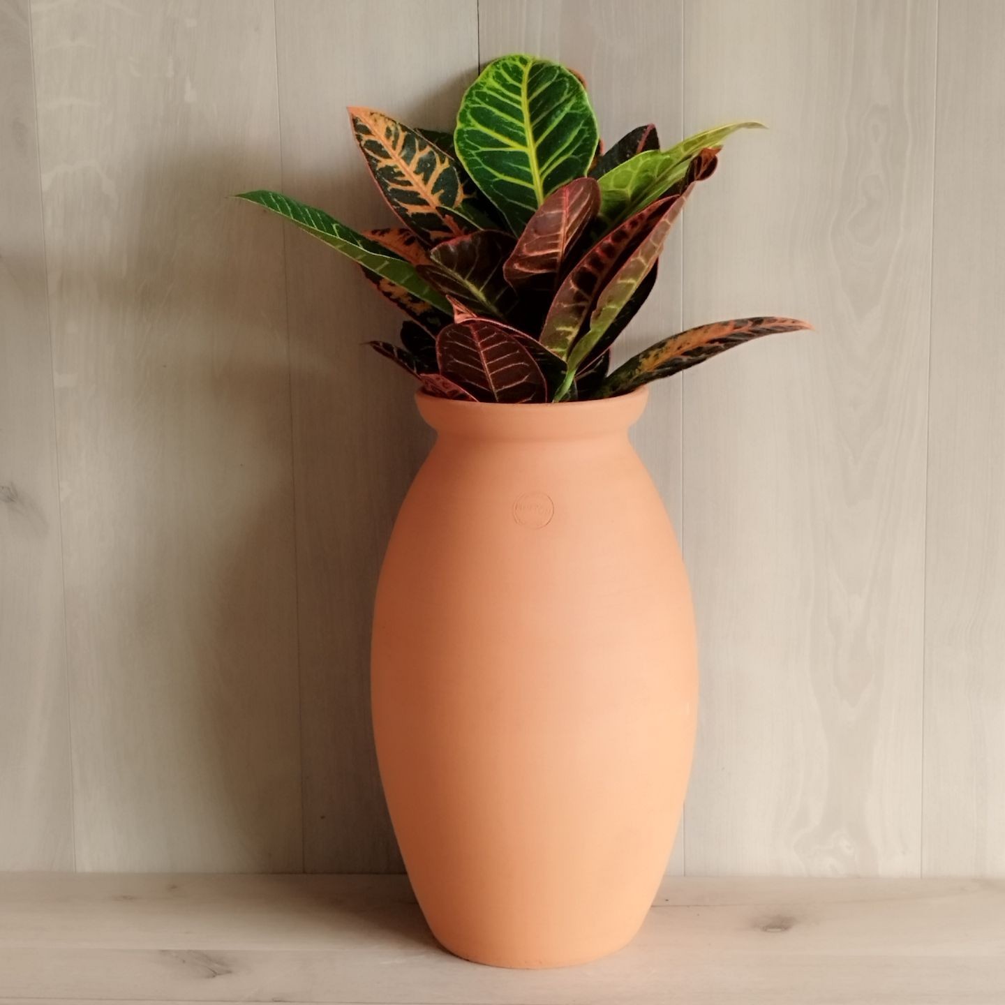 Poterie Tradition - Fin de Série | Pots en terre cuite français
