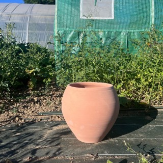 Collection Méditerranée - pot Olive