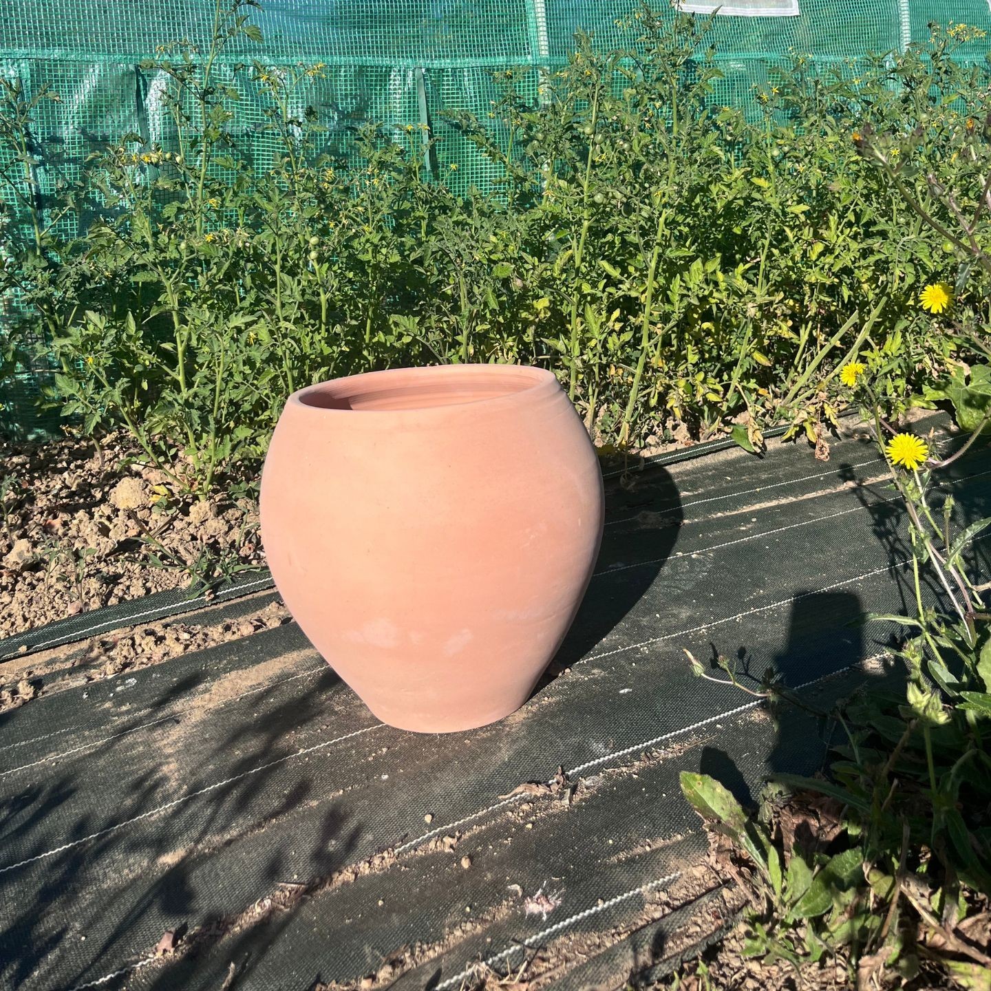 Collection Méditerranée - pot Olive - Ollas Lutton