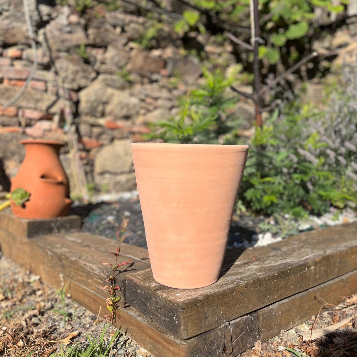 Collection Méditerranée - pot Cuvier