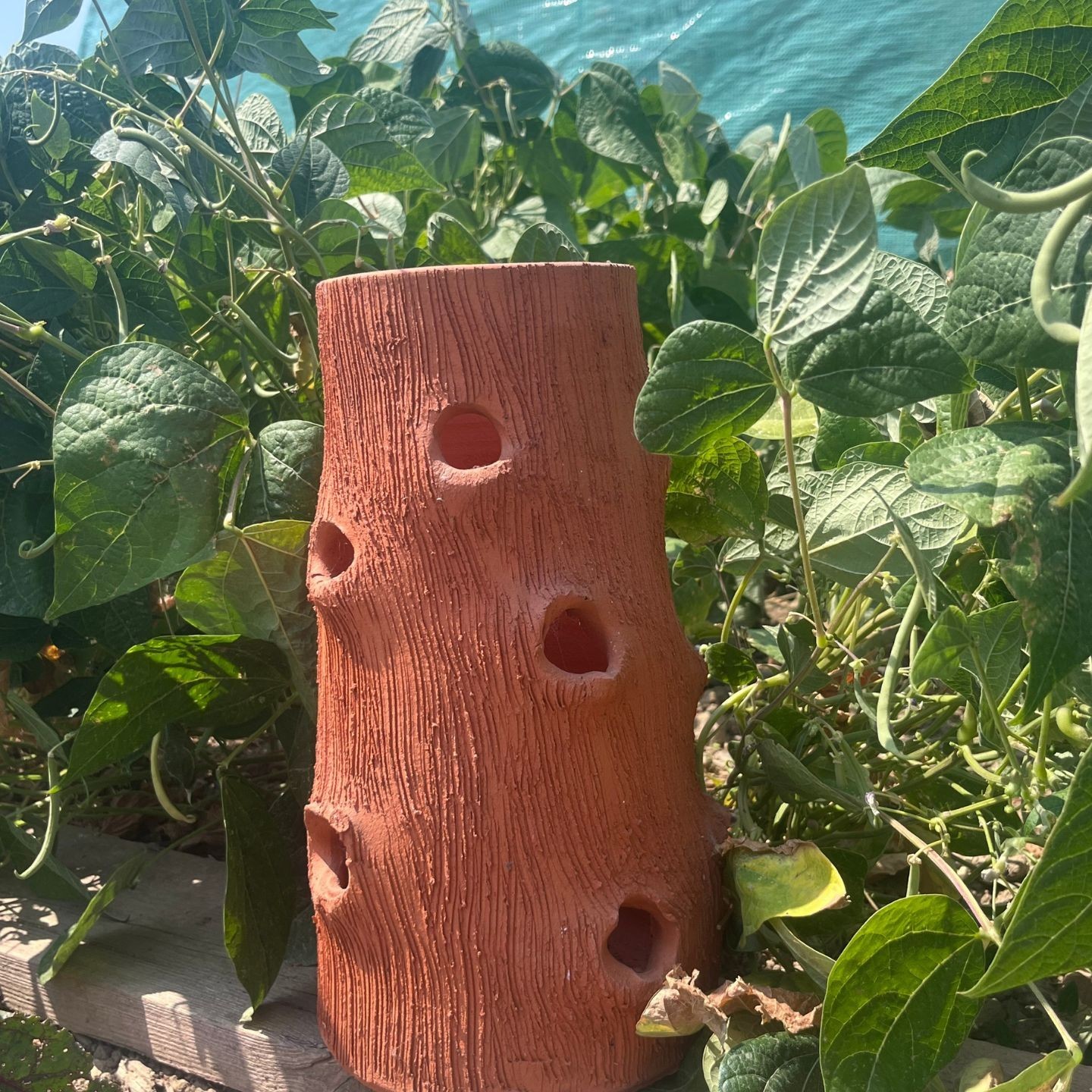 Poterie Tronc d'Arbre | Terre Cuite Artisanale | Poterie Lutton