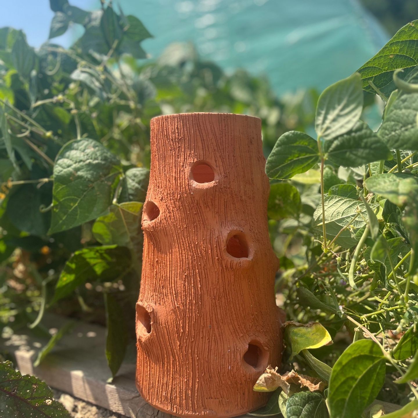 Poterie Tronc d'Arbre | Terre Cuite Artisanale | Poterie Lutton