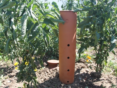 Les 5 erreurs à éviter pour bien démarrer son potager au printemps