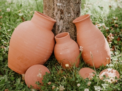 Jardiner écolo : 3 gestes simples pour aider la biodiversité au printemps