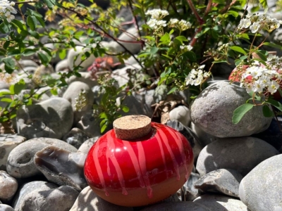 Arroser sans y penser : le galet, l’allié des plantes en vacances