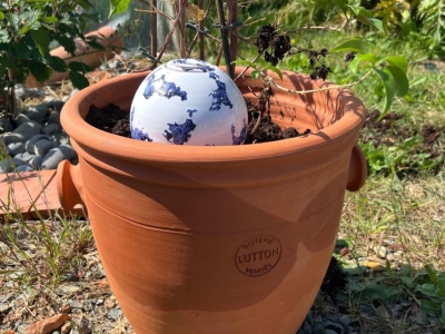 Plantes d'intérieur : comment les garder en forme pendant les grosses chaleurs ?