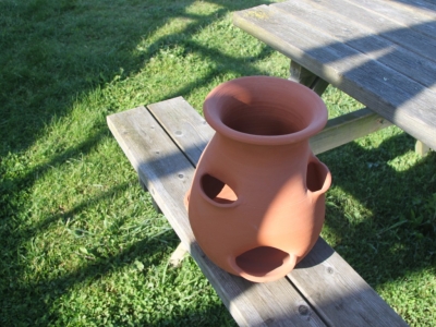 Fraises juteuses : le combo gagnant avec les ollas… et le fraisier