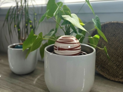 Prendre soin de ses plantes à l’automne avec La Poterie Lutton