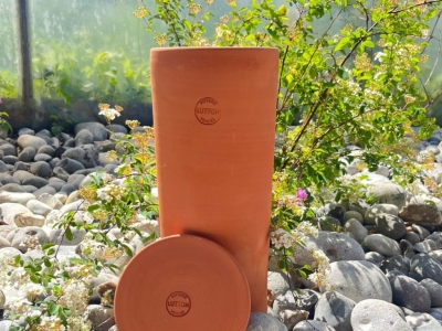 Bien démarrer le potager malgré le froid