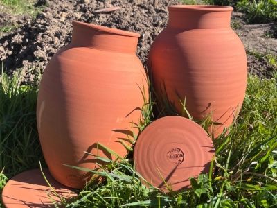 Comment garder un potager productif malgré les canicules 